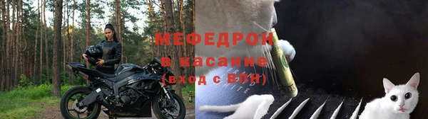 амф Магас