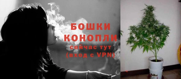 амф Магас